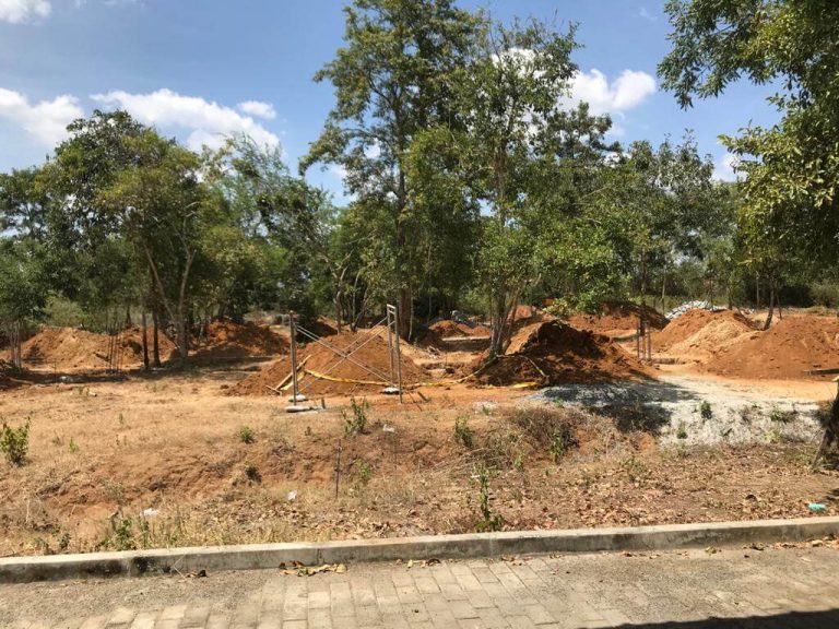 Construction of Exotic Bird Enclosure